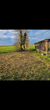 Foto - Grundstück zur Miete in Sasbach am Kaiserstuhl