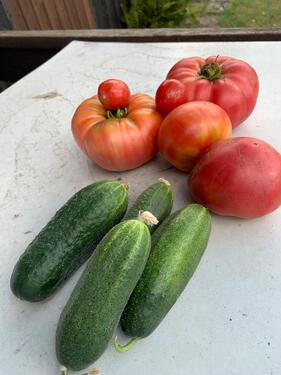 Foto - Pachtgarten - 800,00&nbsp;EUR Kaltmiete, ca.&nbsp; 0,00&nbsp;m&sup2;