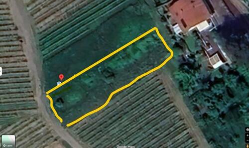 Foto - Wiese in Albersbach (Offenburg) zu verpachten