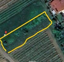 Wiese in Albersbach (Offenburg) zu verpachten