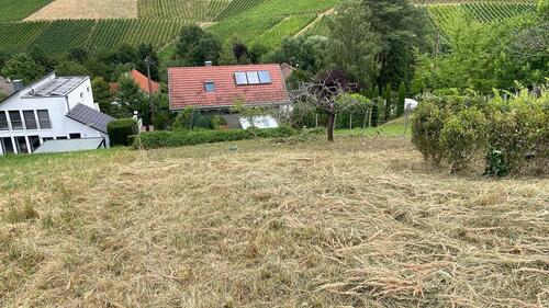 Foto - Grundstück in Offenburg zur Miete