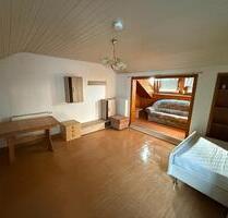 gemütliches 1 Zimmer-Appartemend - Gammertingen