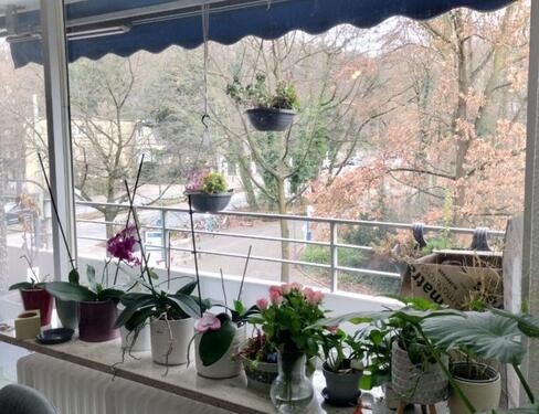 Foto - Etagenwohnung in Duisburg zur Miete