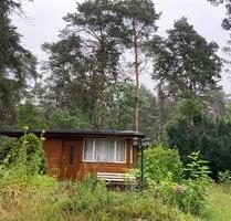 GartenWaldgrundstück - 300,00&nbsp;EUR Kaltmiete, ca.&nbsp; 0,00&nbsp;m&sup2; in Muldestausee (PLZ: 06774)