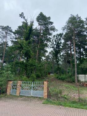 Foto - Grundst&uuml;ck zur Miete in Muldestausee