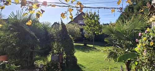Foto - 