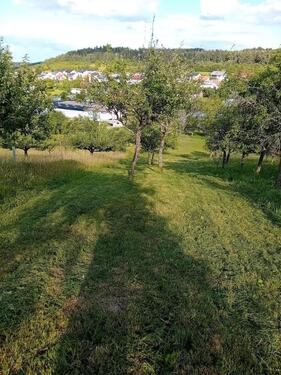 Foto - Grundstück zur Miete in Höpfingen