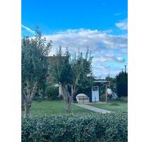 Kleingarten - 700,00 EUR Kaltmiete, ca.  0,00 m² in Bad Kleinen (PLZ: 23996)