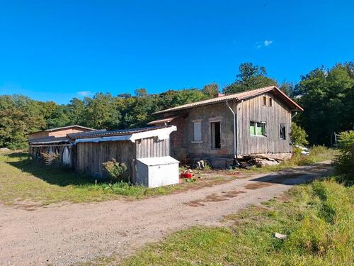 Foto - Einfamilienhaus zum Kaufen in Chorin