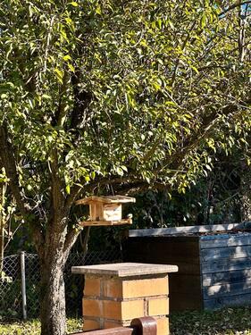 Foto - Grundst&uuml;ck in Lambrechtshagen zur Miete
