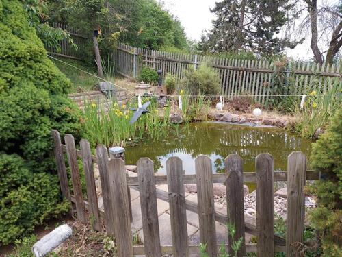 Foto - Einfamilienhaus zum Kaufen in Drei Gleichen