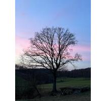 Wohnung in Kürten-Bechen zu vermieten - Odenthal