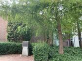 Foto - Wohnung, Apartment, Lev.-Opladen, für Studenten, Singles, Paare