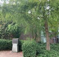 Wohnung, Apartment, Lev.-Opladen, für Studenten, Singles, Paare - Leverkusen