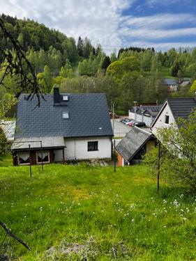 Foto - Haus Ferienhaus zu verkaufen in Zwota