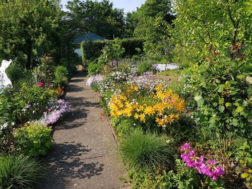 Foto - Grundstück in Arnsberg