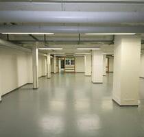 71 m²-Büro mit Extraraum im Maschinenhaus von Zollverein 4511, heute: Gebäude 8 des Gründungs- und Unternehmenszentrums Triple Z - Essen Stadtbezirk VI