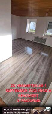 Foto - 3 Helle Zimmer zu vermitten frisch renoviert