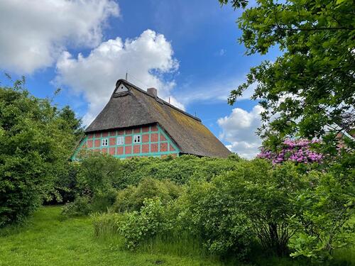 Foto - Einfamilienhaus in Oldendorf