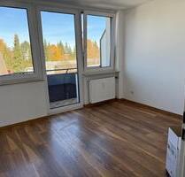 3 Zimmer Wohnung neu renoviert zu vermieten - Donaueschingen