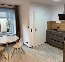 Einraumwohnung möbliert mit Küche im Zentrum -West - Leipzig