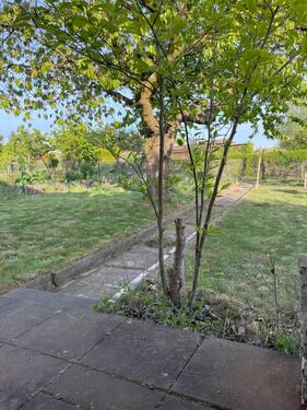 Foto - Grundst&uuml;ck in Papendorf zur Miete