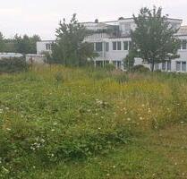 Gewerbegrundstück zu Verpachten Langzeit Miete Wachtberg - Bonn Bad Godesberg