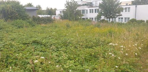 Foto - andere in Bonn
