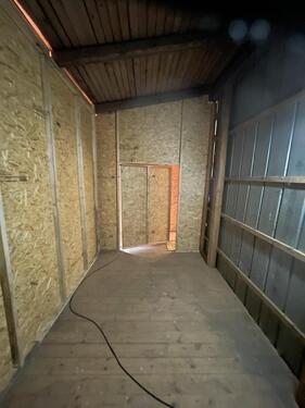 Foto - andere in Horst (Holstein)