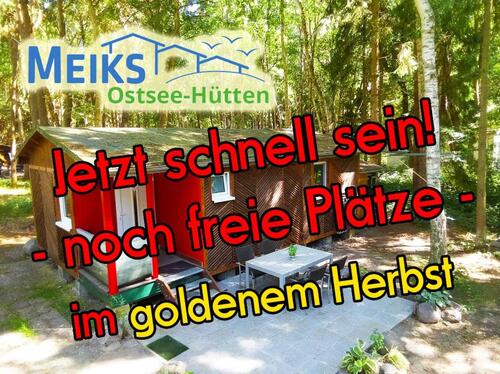 Foto - Sonniger Urlaub auf Rügen an der Ostsee - freie Plätze im Herbst