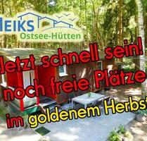 Sonniger Urlaub auf Rügen an der Ostsee - freie Plätze im Herbst - Dranske