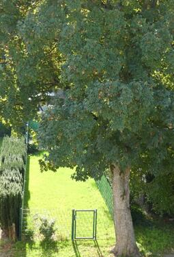 Foto - repräsentatives Stadthaus in Citylage von Hilden