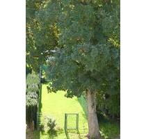 repräsentatives Stadthaus in Citylage von Hilden