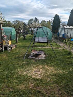 Foto - Grundst&uuml;ck zur Miete in Torgelow