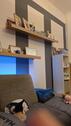 Foto - 4 Zimmer Etagenwohnung zur Miete in Forst (Lausitz)