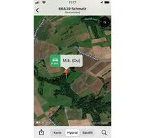 Grünland mit Baumbestand in Schmelz - Velen