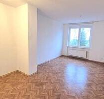 Tolles Erdgeschoss-Studio-Apartment 44m² mit separater Küche in bester Lage von Obersdorf-Rödgen - Wilnsdorf