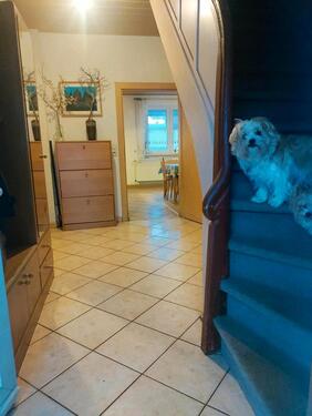 Foto - 4 Zimmer Einfamilienhaus zum Kaufen in Schleusegrund