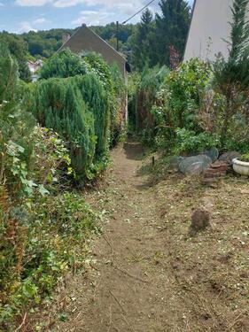 Foto - verwildertes Grundstück, Bauplatz, kleines Haus