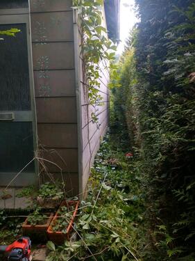 Foto - 3 Zimmer Einfamilienhaus zum Kaufen in Offenbach-Hundheim