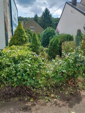 Foto - 3 Zimmer Einfamilienhaus in Offenbach-Hundheim