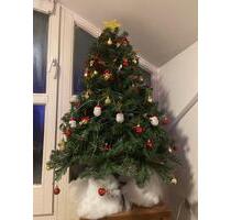 Kurzzeitvermietung eines Zimmers, bevorzugt weiblich] - Gröbenzell