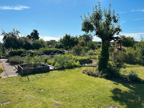 Foto - Grundst&uuml;ck zur Miete in Lüneburg