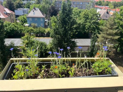 Foto - 3 Zimmer Etagenwohnung zur Miete in Halle (Saale)