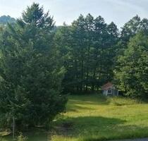 Freistehendes Wohnhaus mit Blick auf den Wachtküppel - Gersfeld (Rhön)