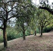 Obstwiese im Gartenhausgebiet - 1.700,00 EUR Kaltmiete, ca.  0,00 m² in Hardthausen am Kocher (PLZ: 74239)