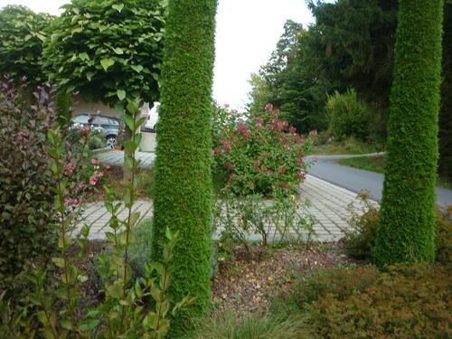 Foto - Einfamilienhaus zum Kaufen in Hauzenberg