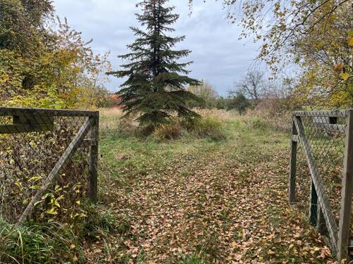 Foto - Einfamilienhaus zum Kaufen in Premnitz