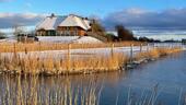 Foto - Einfamilienhaus in Pellworm