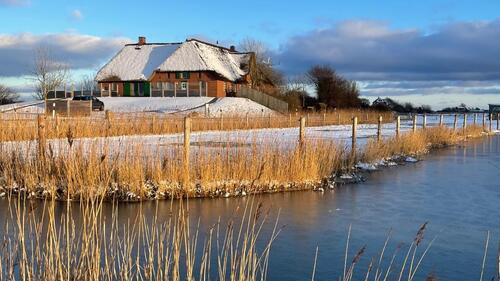 Foto - Einfamilienhaus in Pellworm